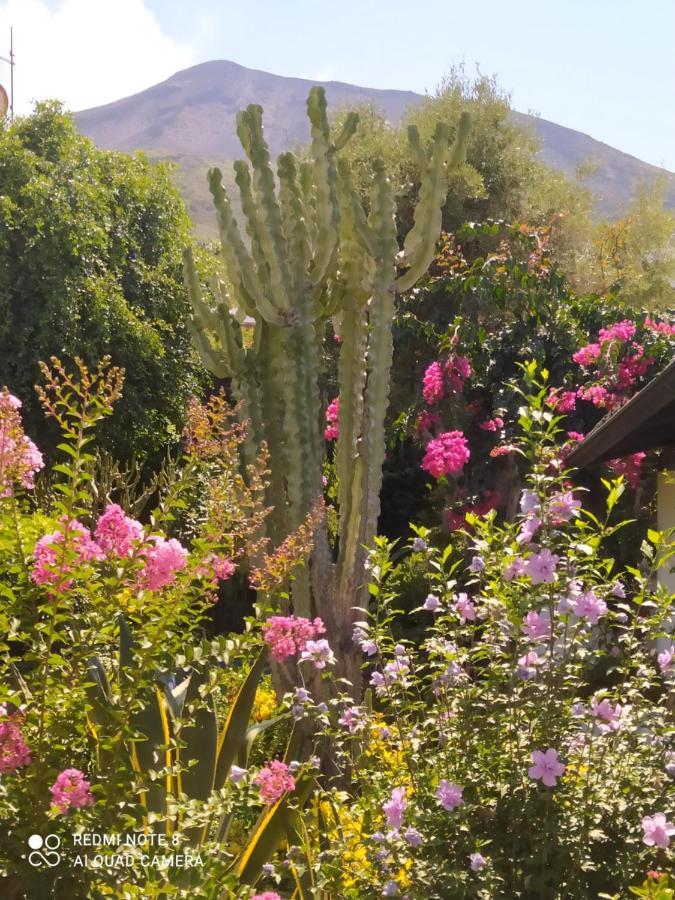 La Rosamarina Hotel Stromboli Kültér fotó