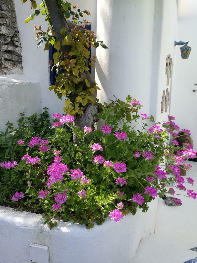 La Rosamarina Hotel Stromboli Kültér fotó